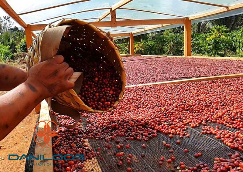 جداسازی به روش خشک کردن