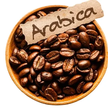 قهوه عربیکا 100 چیست