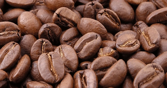 بهترین قهوه برای معده درد