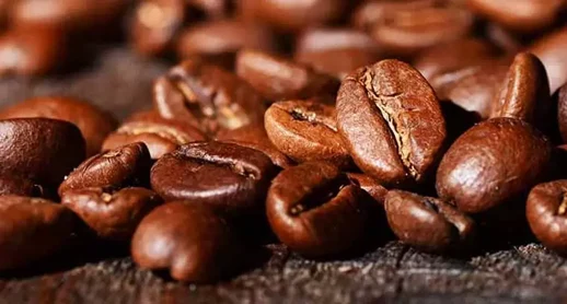 قهوه عربیکا صد چیست