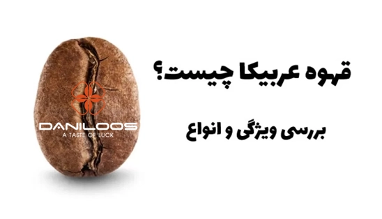 قهوه عربیکا چیست
