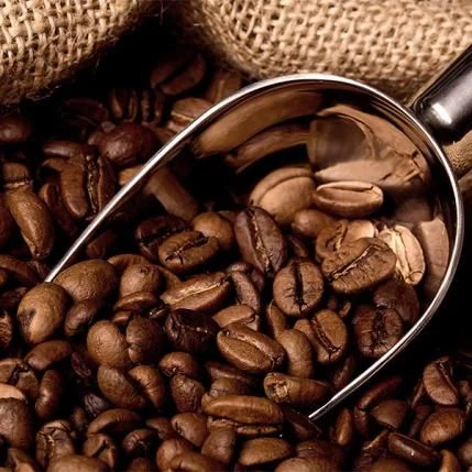 خرید قهوه روبوستا