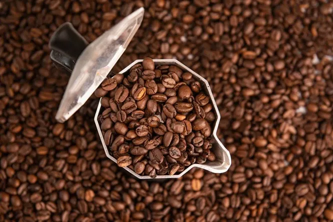 قیمت قهوه عربیکا
