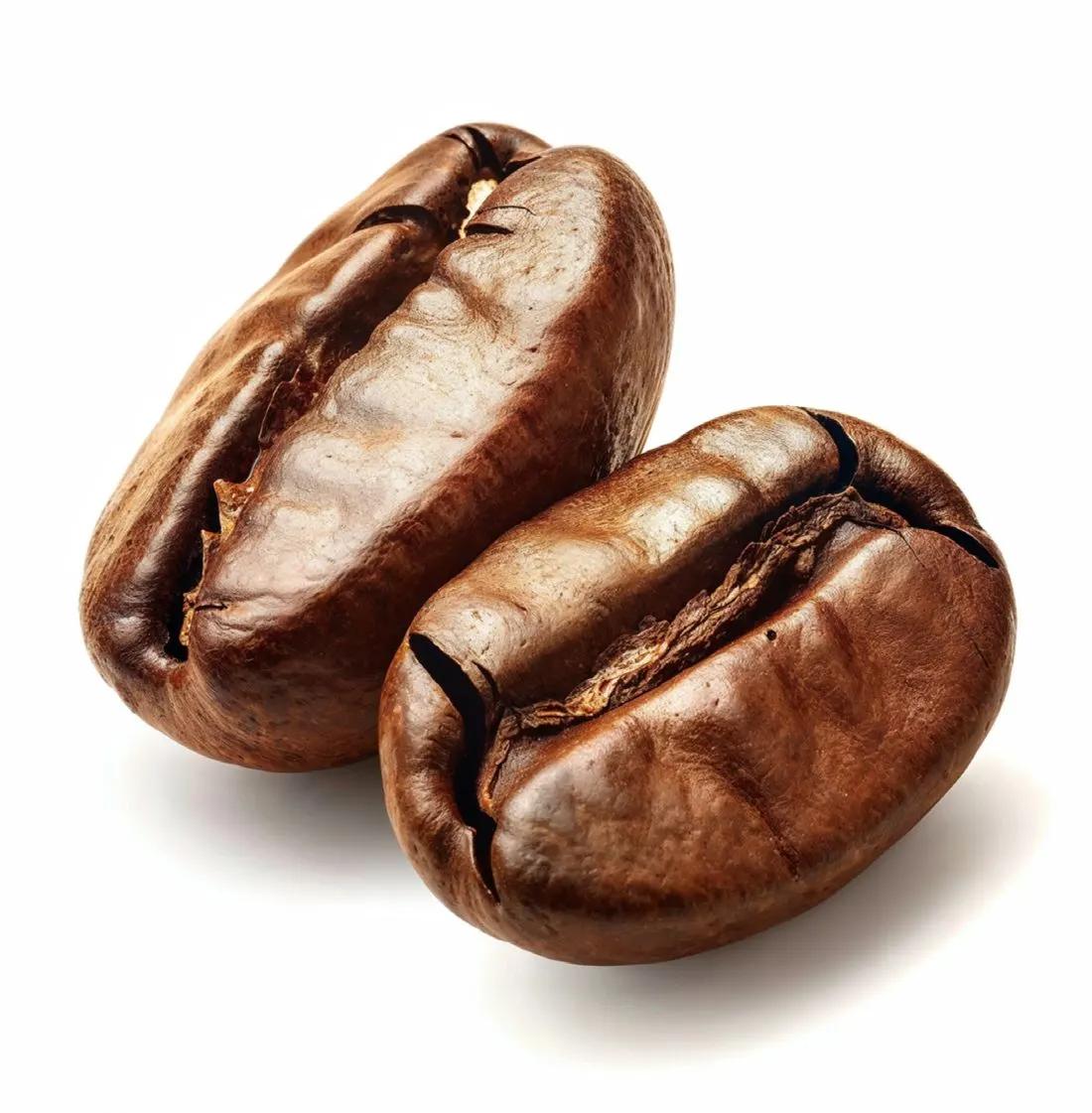 دانه قهوه رست‌شده دنیلوس