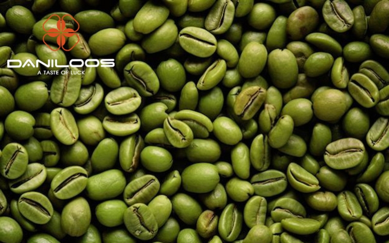 خواص قهوه سبز برای لاغری و سلامت بدن خواص قهوه سبز برای لاغری و سلامت بدن