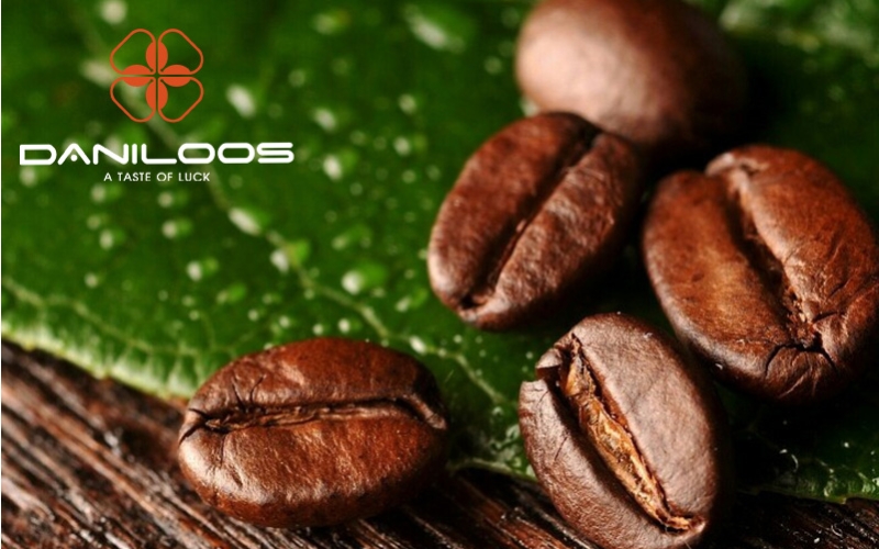 همه چیز در مورد قهوه پرمیوم همه چیز در مورد قهوه پرمیوم