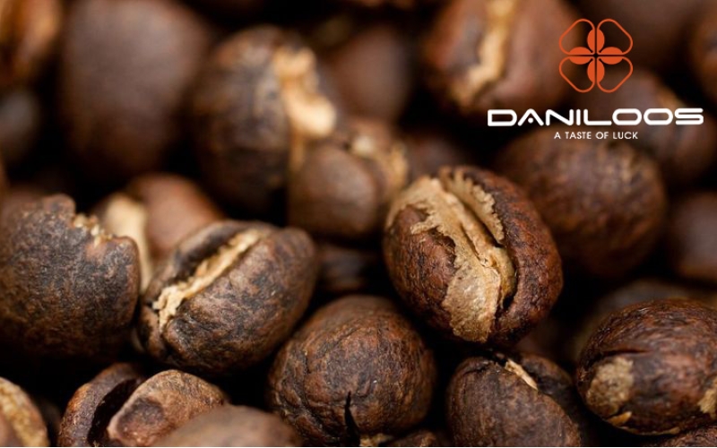 قهوه پی بی (peaberry) چیست و چه ویژگی هایی دارد قهوه پی بی (peaberry) چیست و چه ویژگی هایی دارد