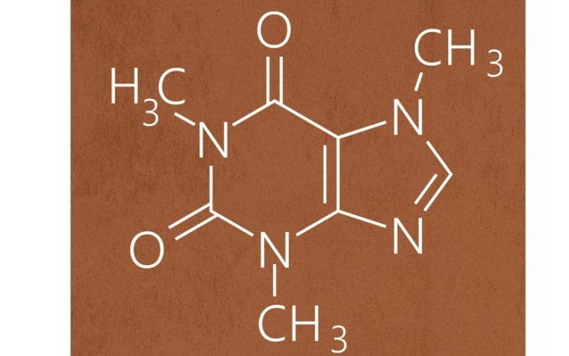 کافئین چیست و چگونه بر بدن تأثیر میگذارد؟ کافئین چیست و چگونه بر بدن تأثیر میگذارد؟
