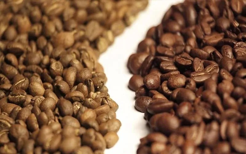 مقایسه قهوه عربیکا و روبوستا | تفاوت های عربیکا و روبوستا را بشناسید! مقایسه قهوه عربیکا و روبوستا | تفاوت های عربیکا و روبوستا را بشناسید!